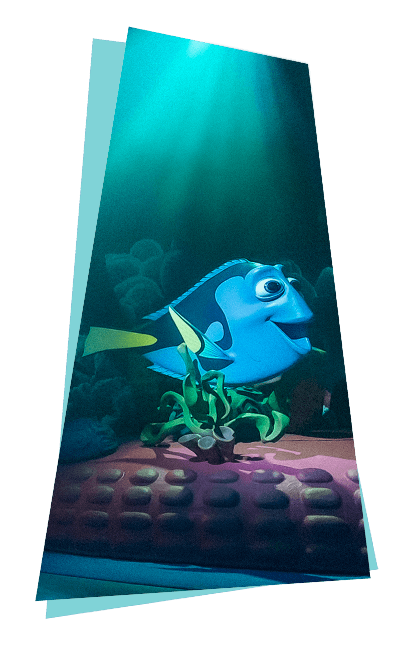 Dori Front